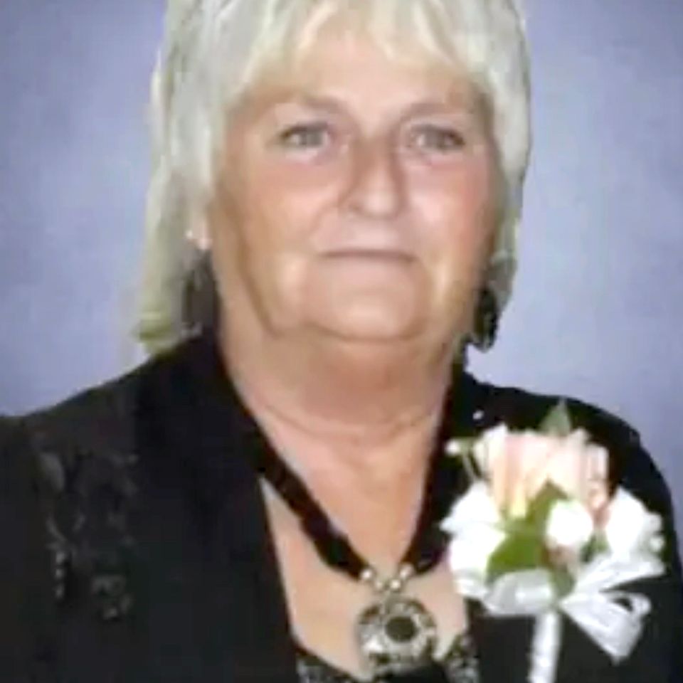 Lynette harvey