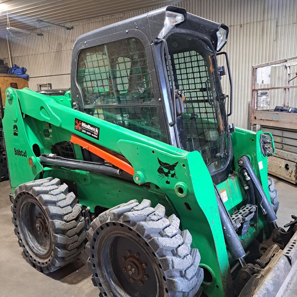 Green bobcat