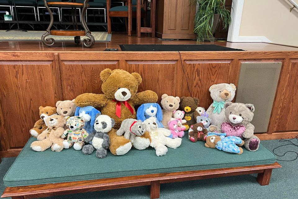 Teddy bear project