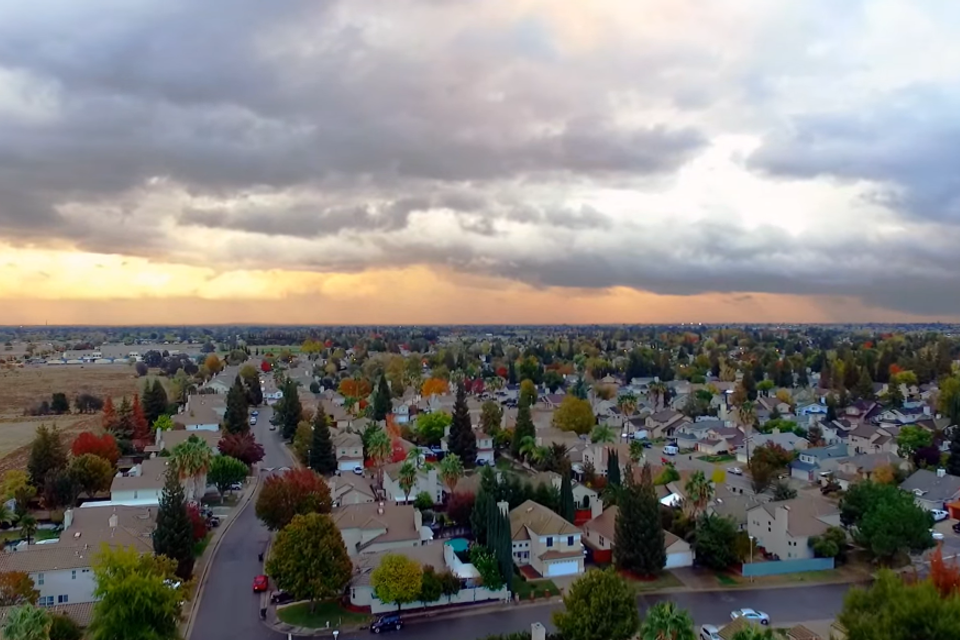 Aerial view of the residential tree canopy in Antelope, CA—proudly serviced by Above It All Tree Care.