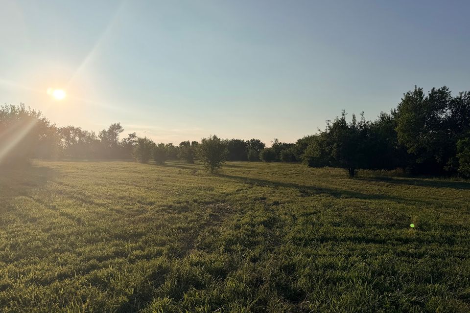 Went 72 18 spance of open field trees in background sun to left
