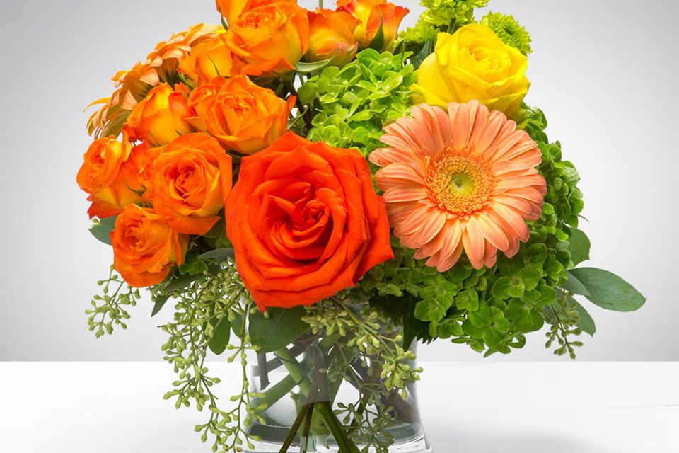 20170915101336 file 59bc5090e9155 248