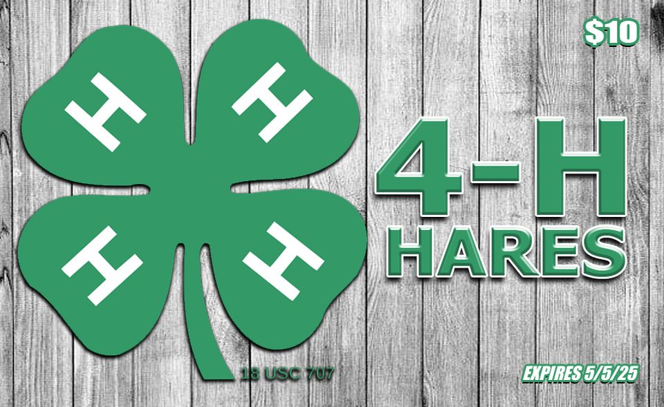 4h hares