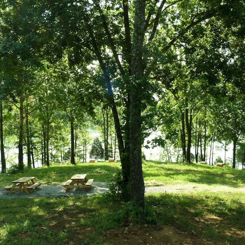 Rv park picnic tables large20171024 30350 1v0l1im