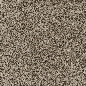 Bb003 marsh brown
