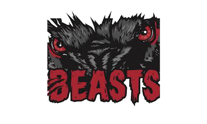 Long island beasts dekhockey