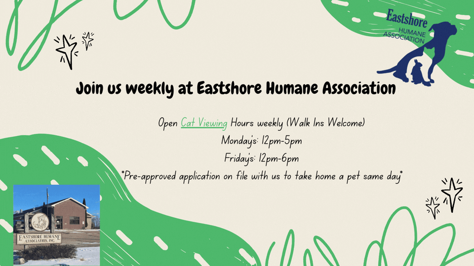 Gris negro y verde moderno garabatos fondo de video (2)