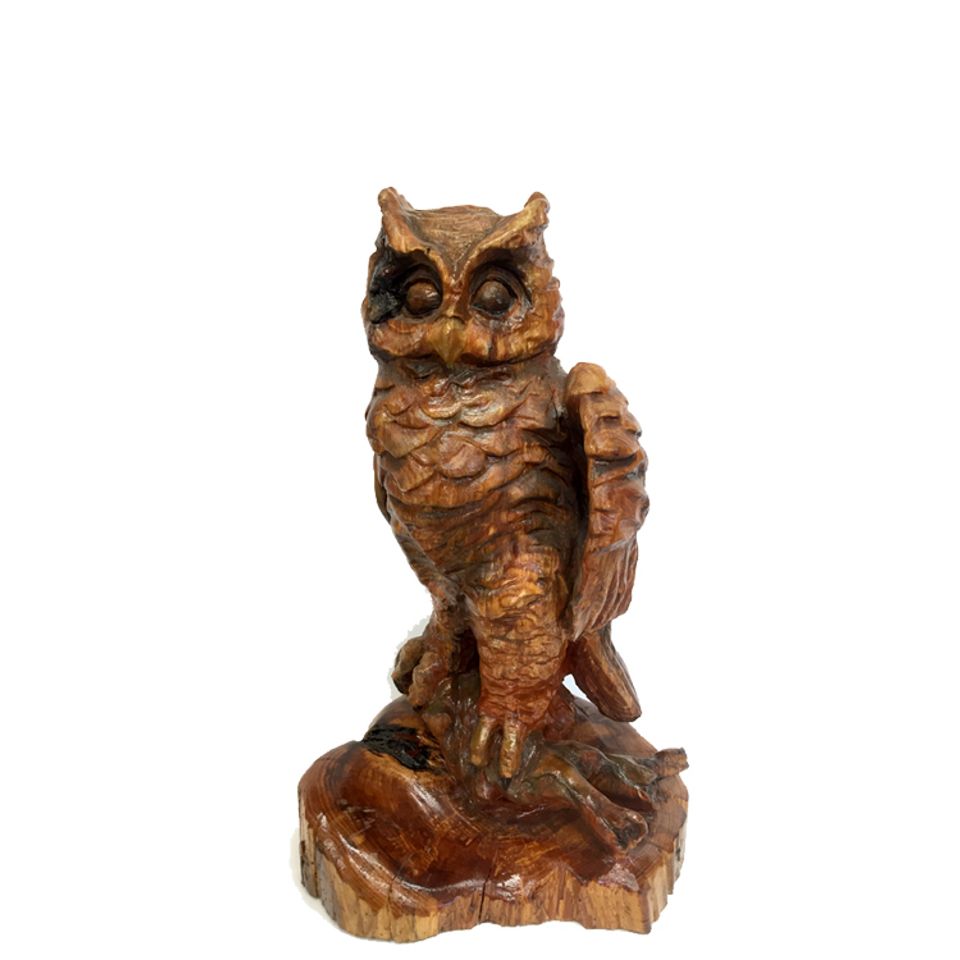 Owl20180430 30285 umy3so