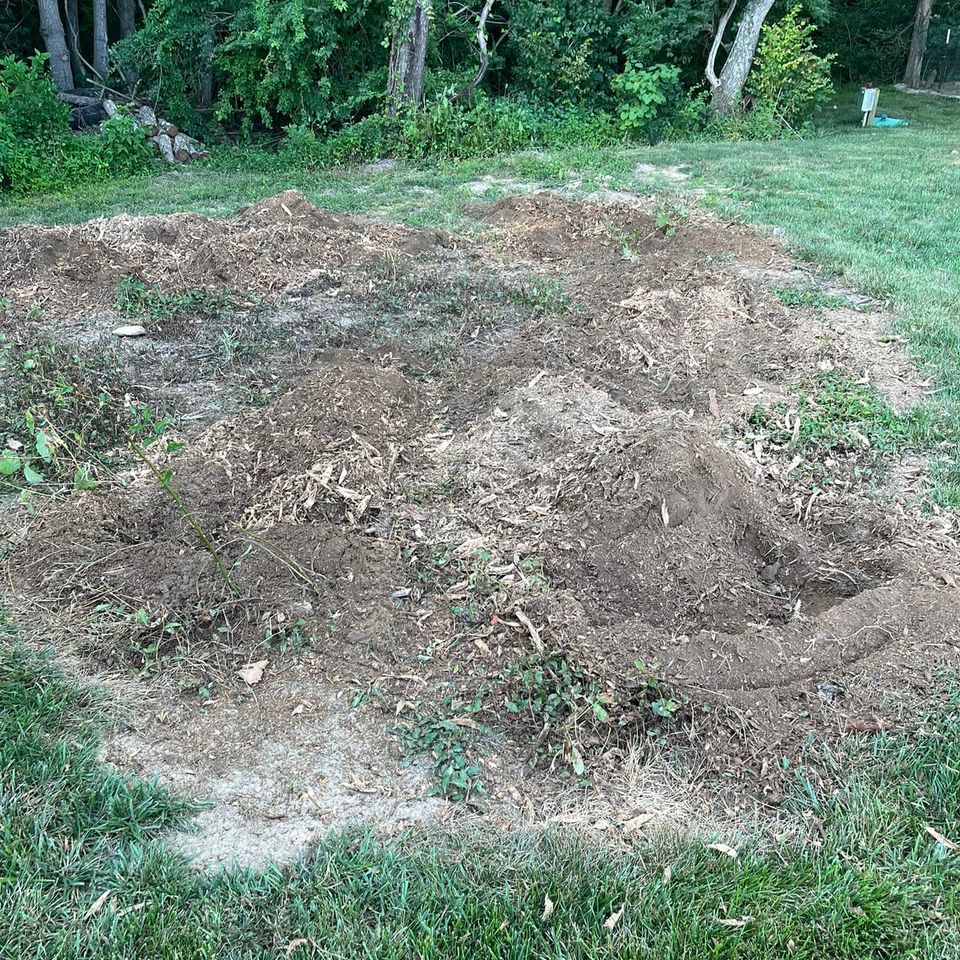 Pic2