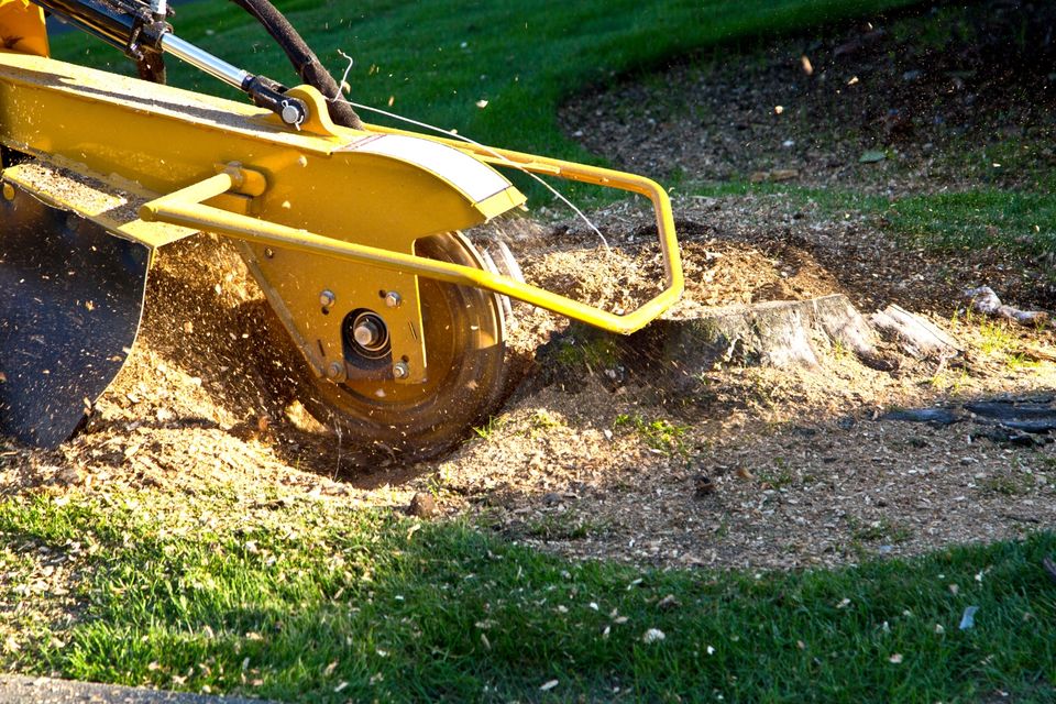 Stump grinding 3 (2)