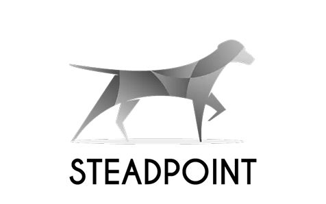 Steadpoint