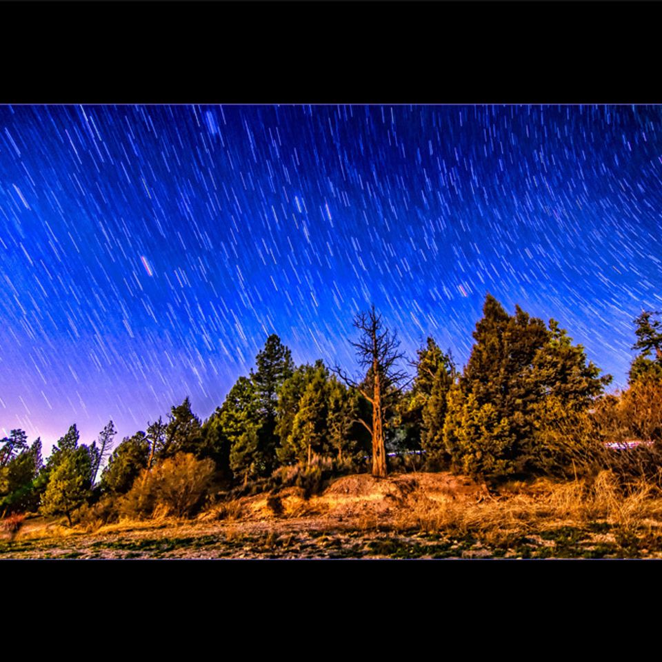 Big bear stars