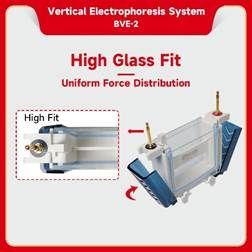 Vertical electrophoresis system be bve 2 3