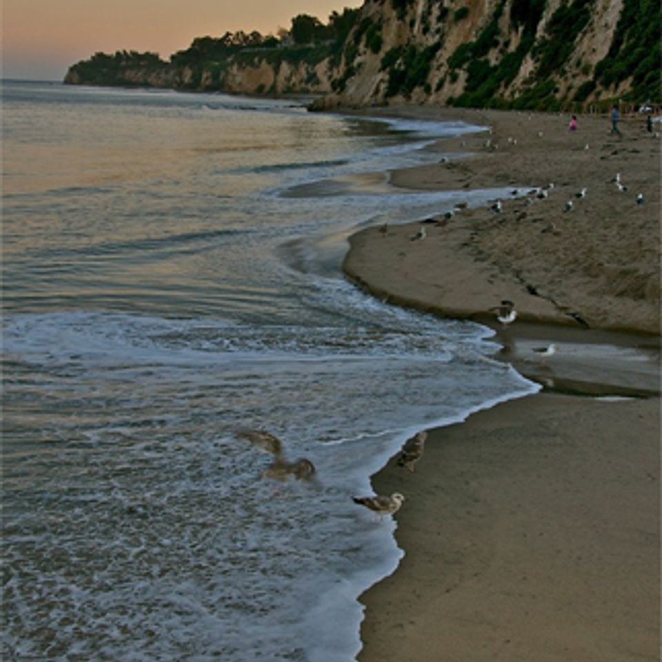 Nature6