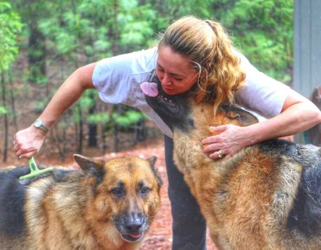 Happy dogs at House of Dogg
