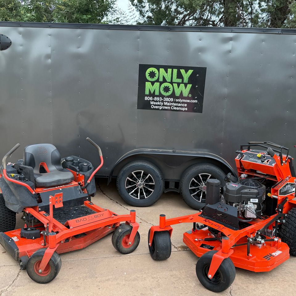 Bad boy mowers 2