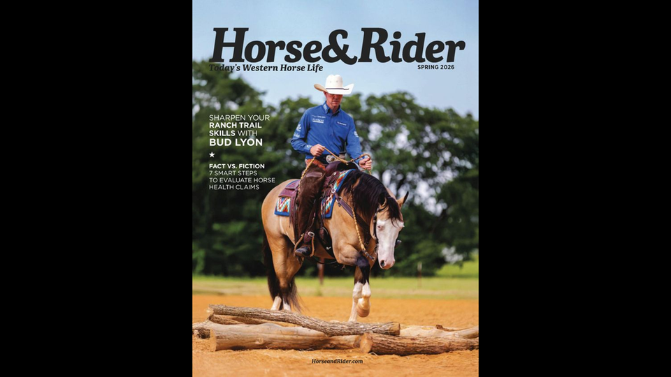 01 02 gold tier magazine   horse   rider