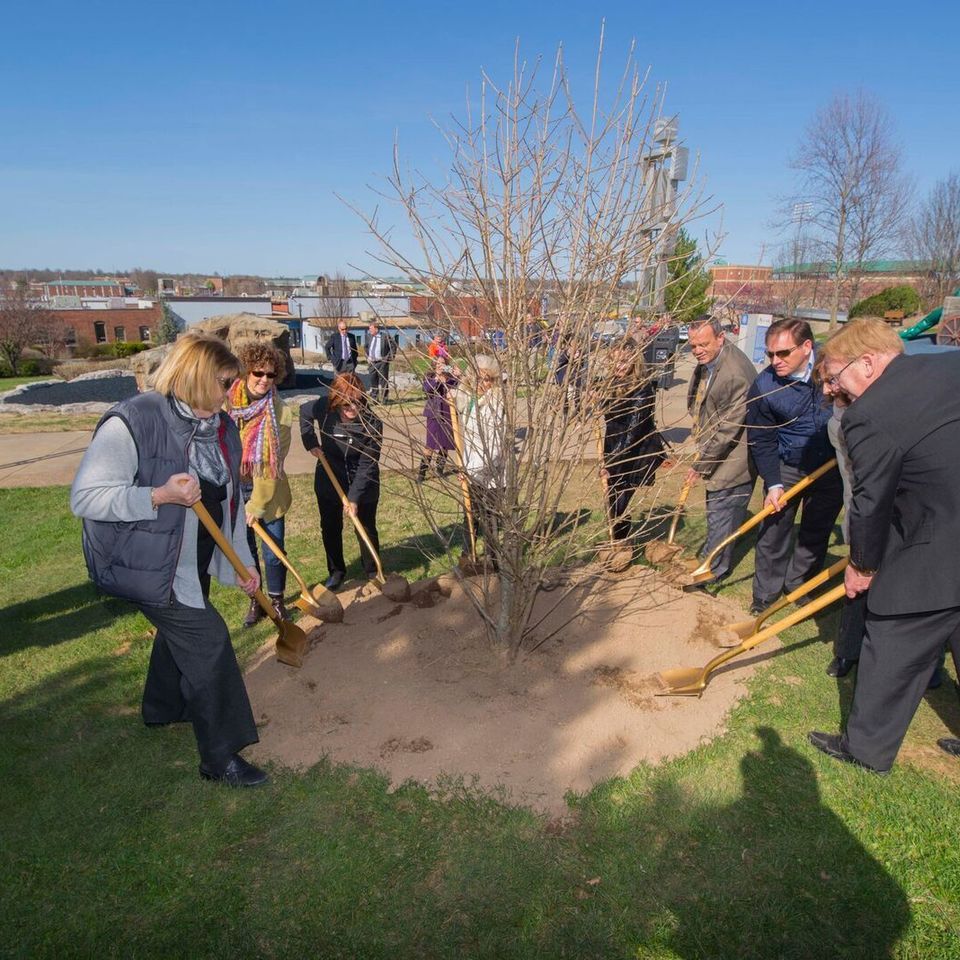 Rotary tree planting j20180405 2031 1t6gcxv