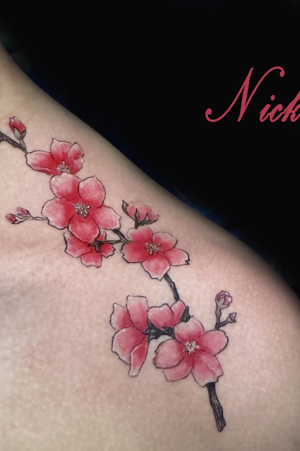 Nick cherry blossoms