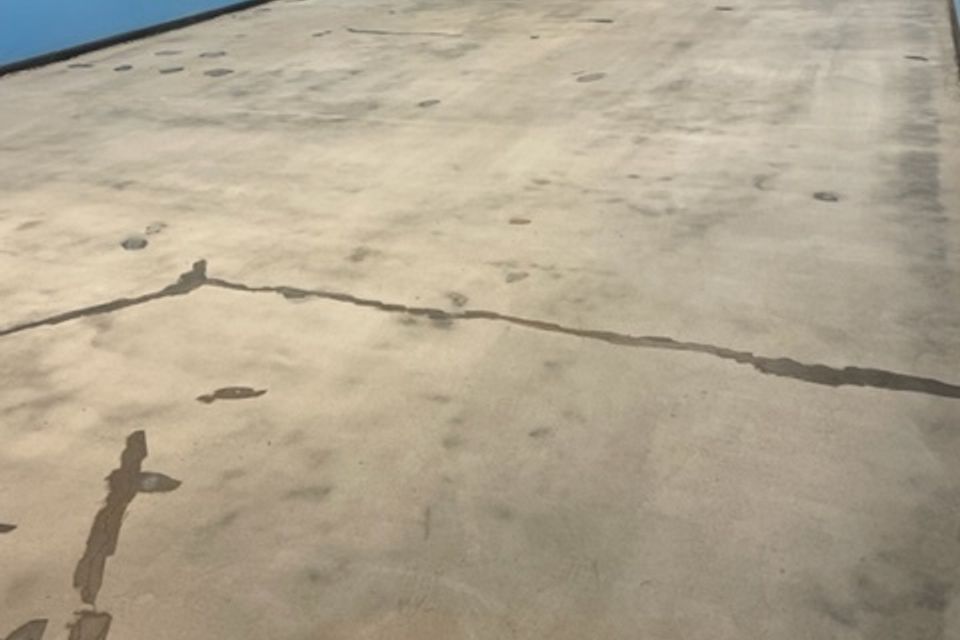 Img 1485