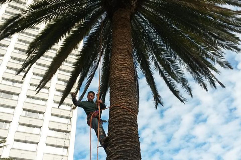 10552430 751577024880215 2932286614582547670 n20180306 16413 15lb7ia