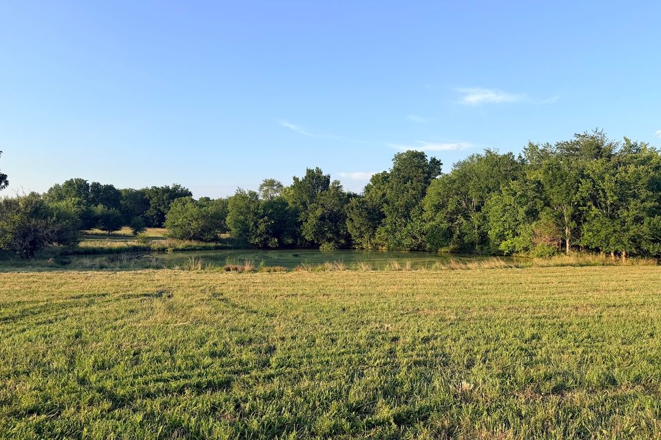 Went 72 19 turbid pond with field in front