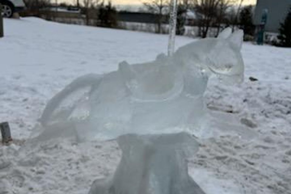 Ice carving 33