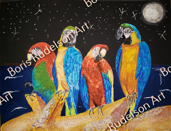 Night Parrots 