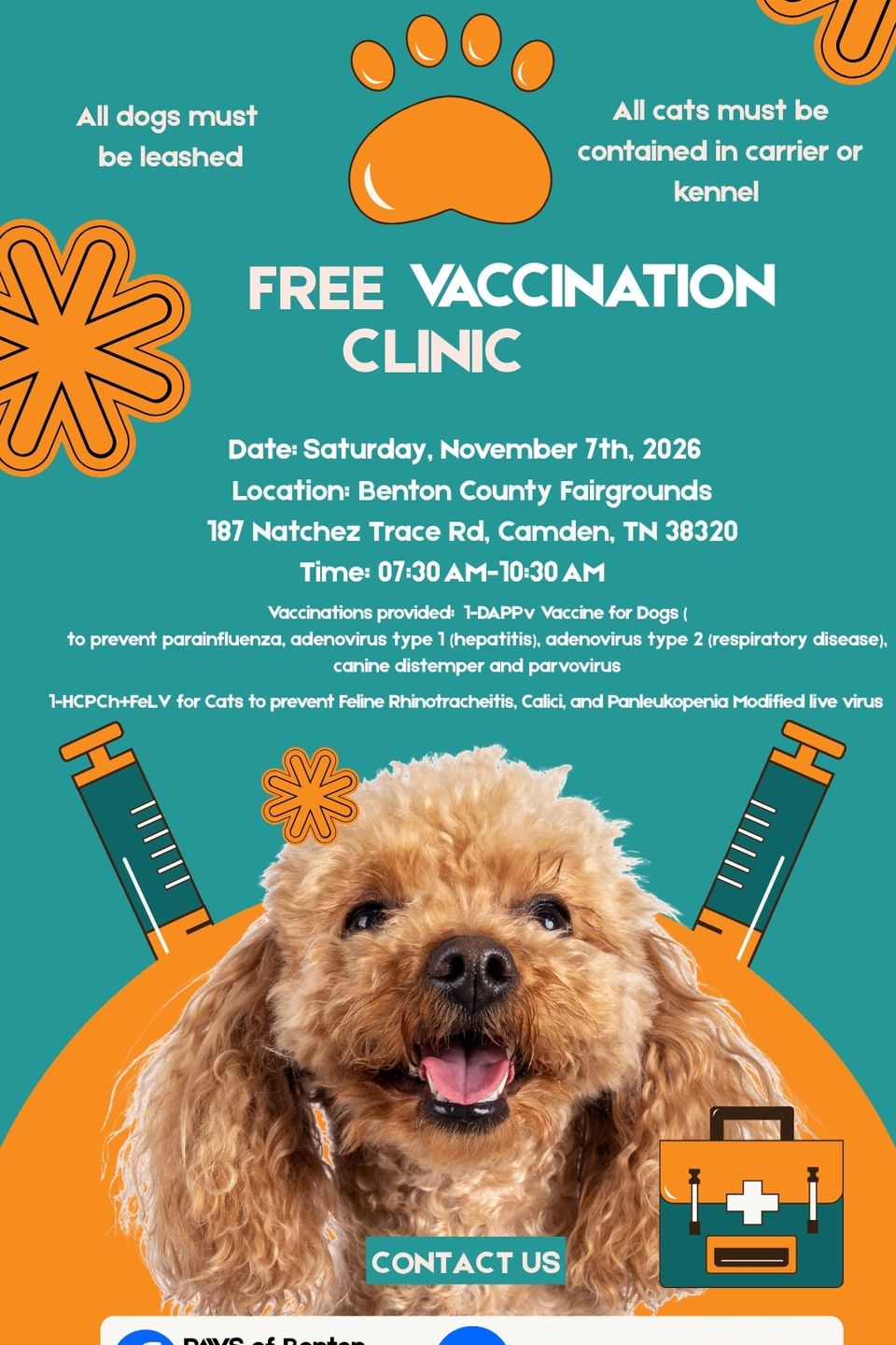 Teal and orange playful pet care vaccination reminder your story