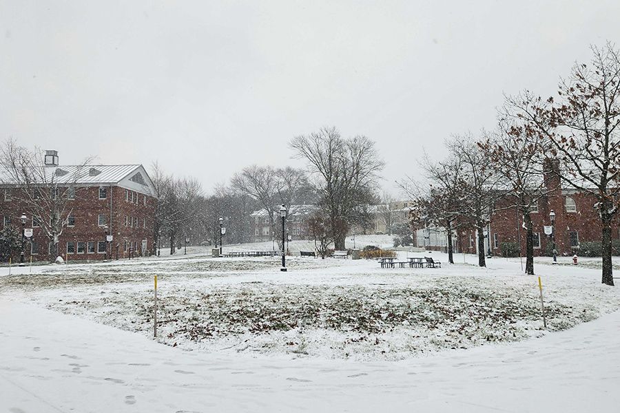 Accelerated options at mcc