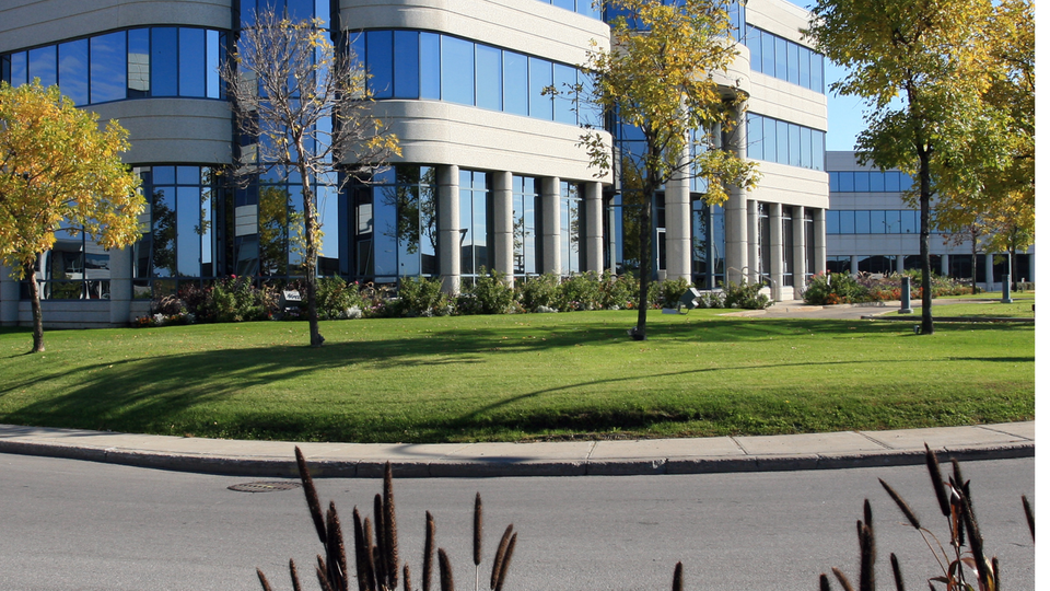 Maintenance and longevity of concrete curbs