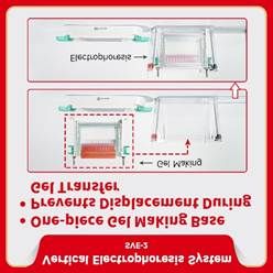 Vertical electrophoresis system be sve 2 2