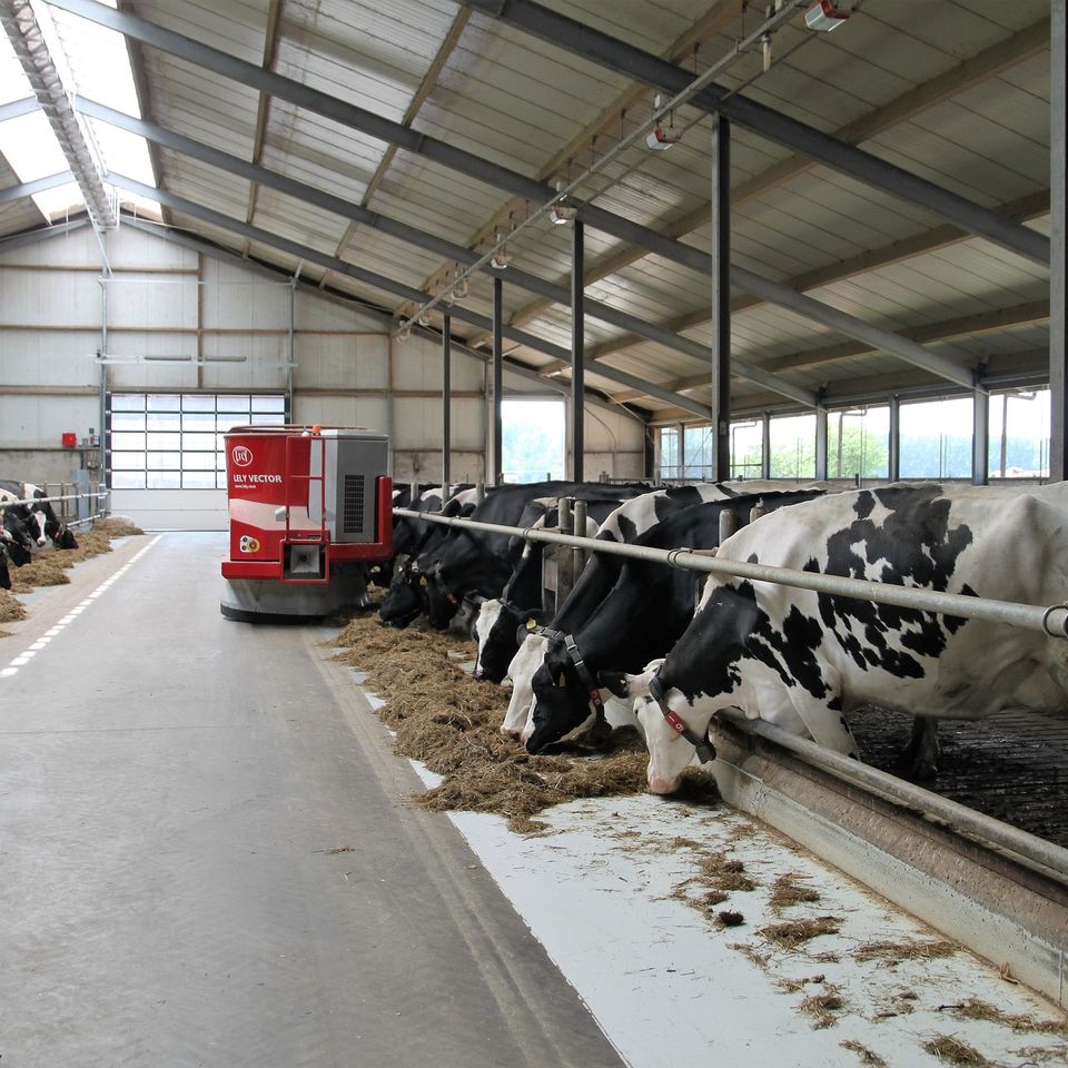 Dairy farm ga329d21dc 1920