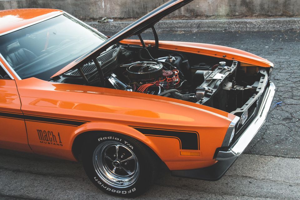 Hosea georgeson if2ihs0rvgm unsplash