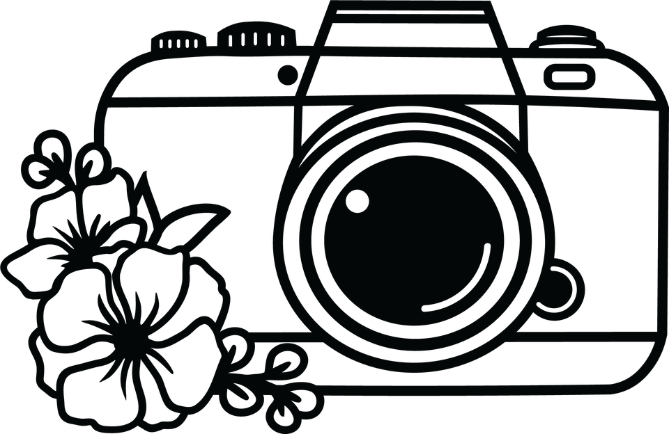 Profession   photographer camera 7