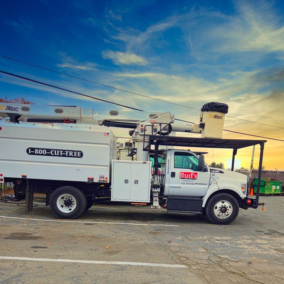 Side view of our high-reach extension truck and aerial lift for professional tree maintenance – Bud’s Tri-County Tree Services Inc. – Licensed #785788