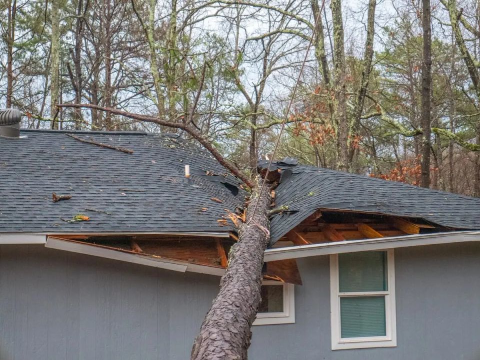 Mgm storm damage   insurance claims