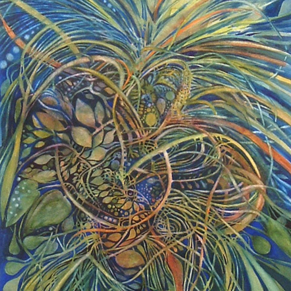 Pacific kelp
