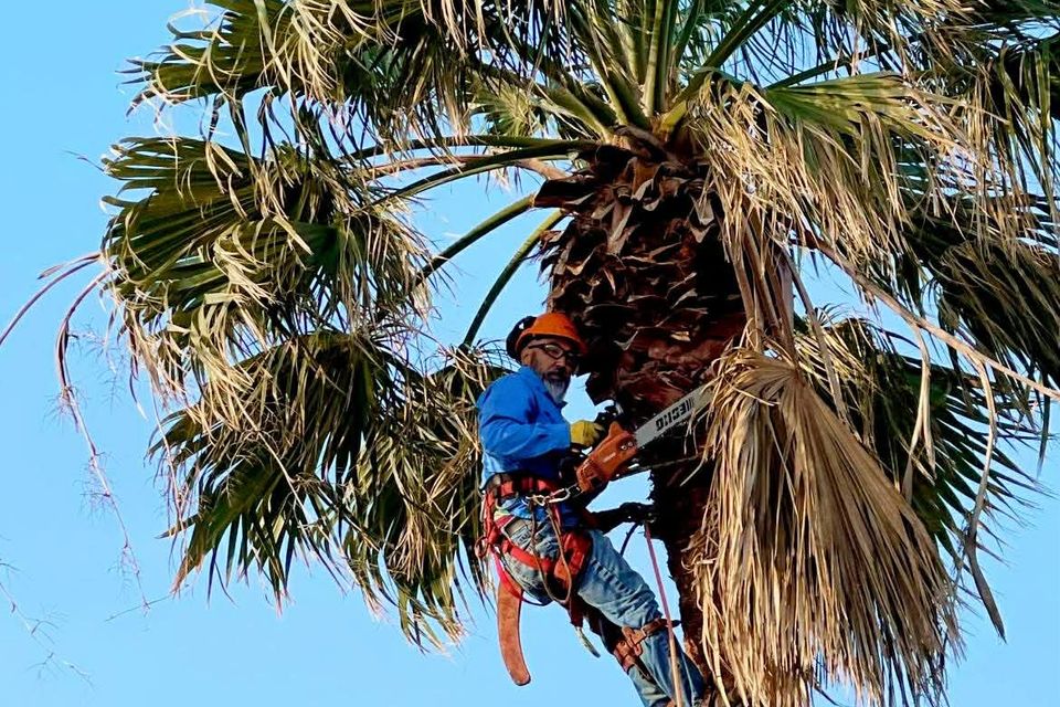 E8f11c7c 70a3 4a75 91f6 ee9155474e46