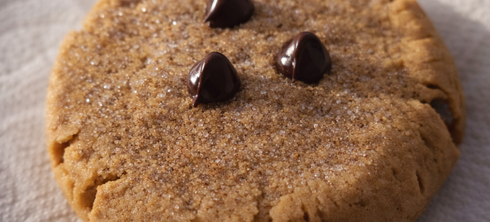 File 00000000b93c71fdba05817410474e1e