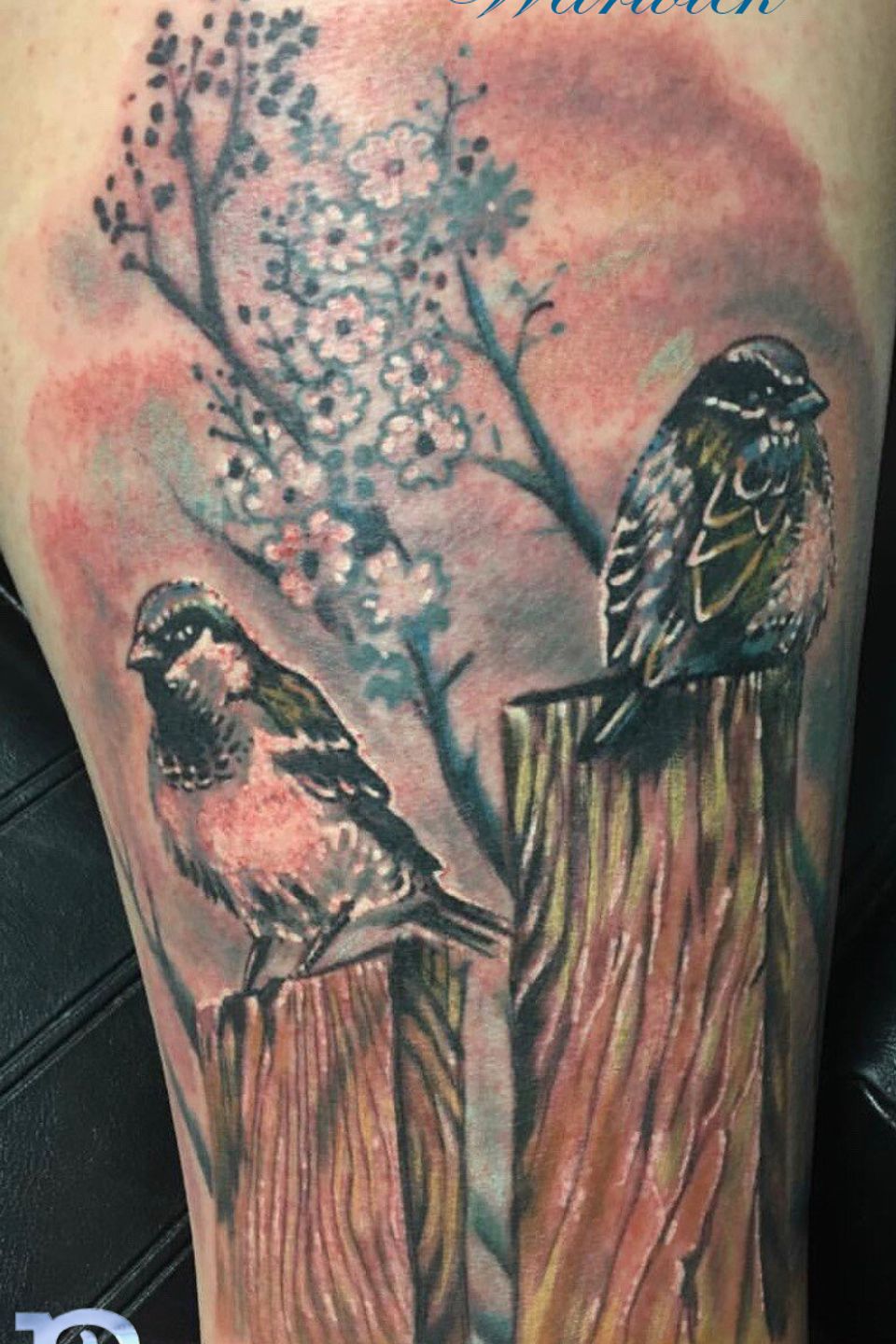 Adrian birds on post