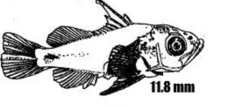 Screenshot 2025 10 15 141135