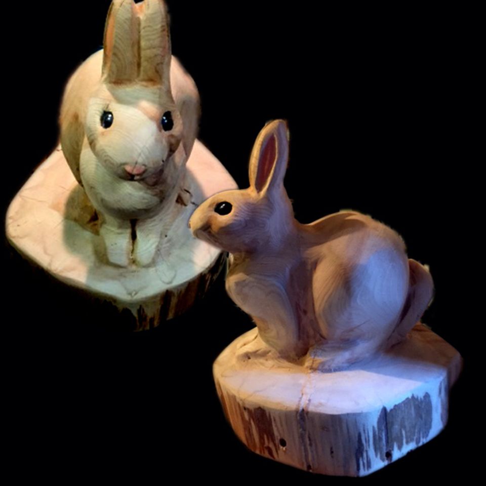 Cute rabbit