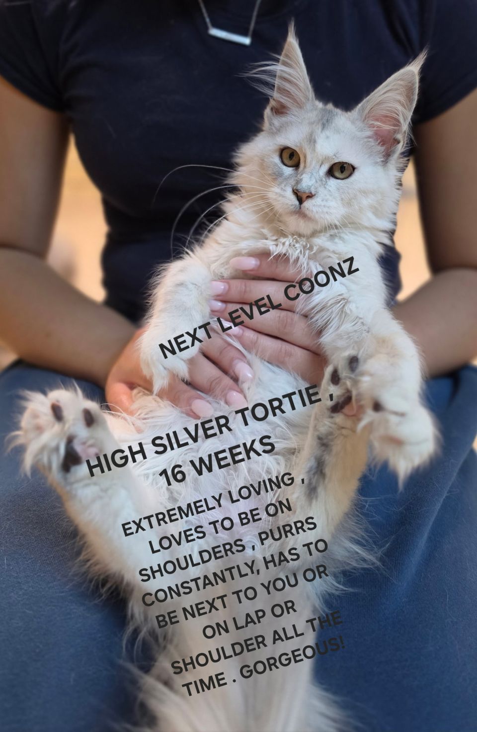 1000046673