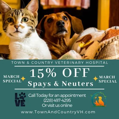 Copy of 15  off original original