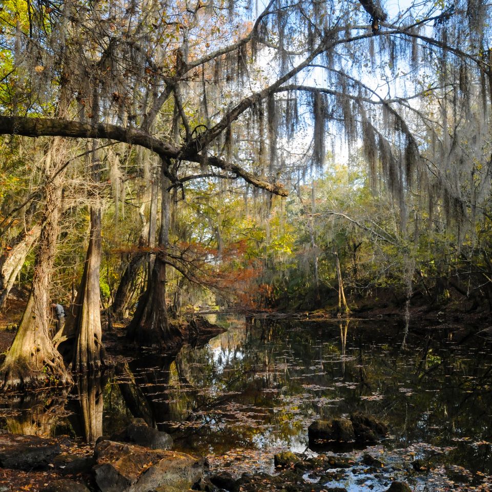 Oleno state park 2 5410