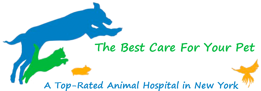 Animal Health Center