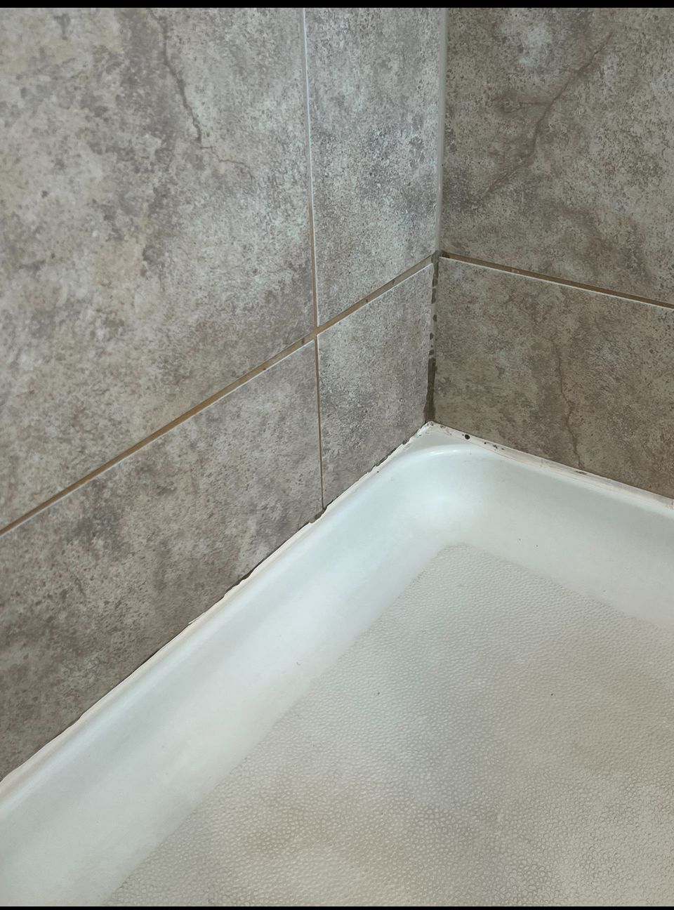 Img 1570