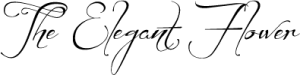 Logo2 300x75