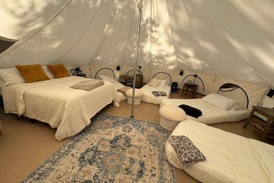 502752363 122176488926583527 7868275920731198504 n